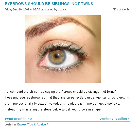  - bib-blog-eyebrows-should-be-siblings1